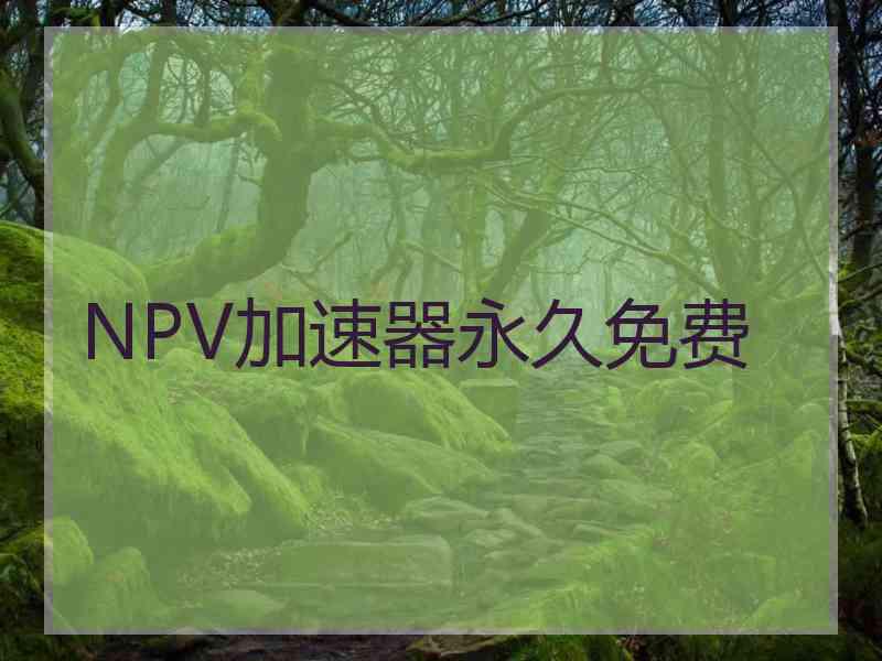 NPV加速器永久免费