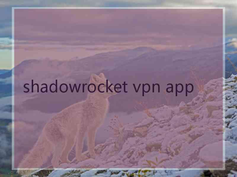 shadowrocket vpn app