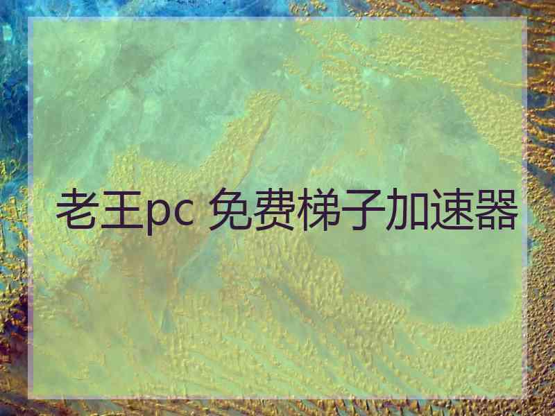 老王pc 免费梯子加速器