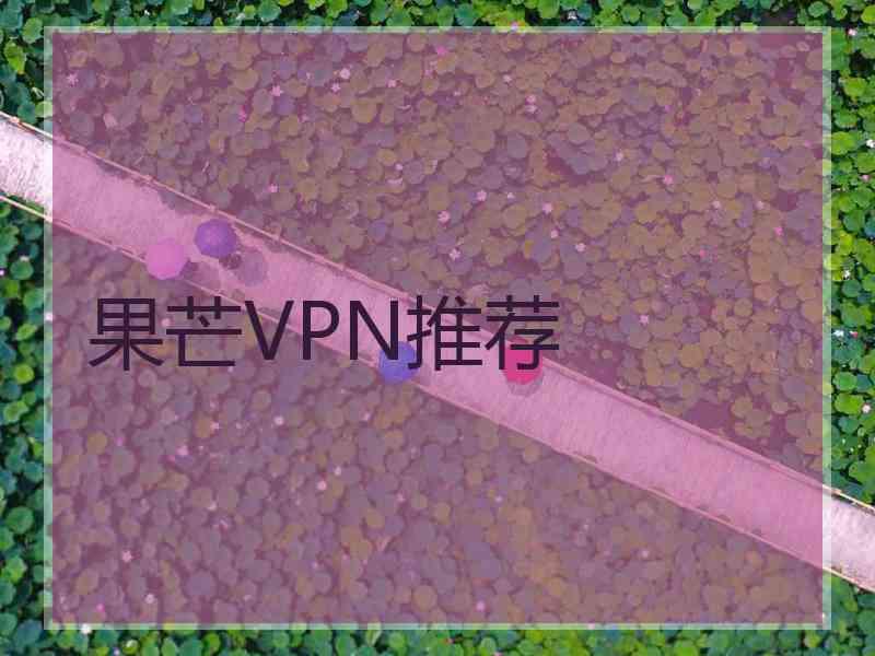 果芒VPN推荐