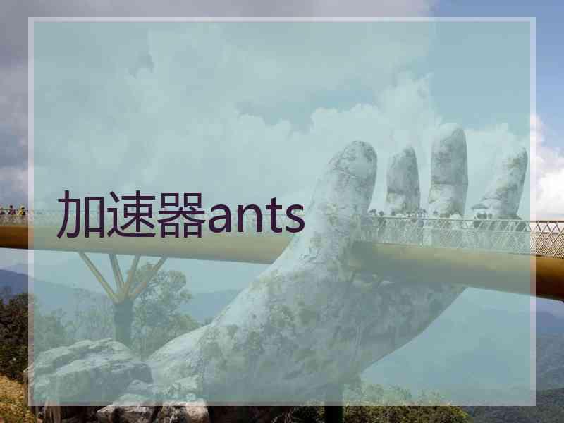 加速器ants