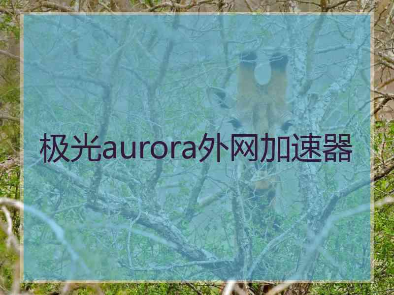 极光aurora外网加速器