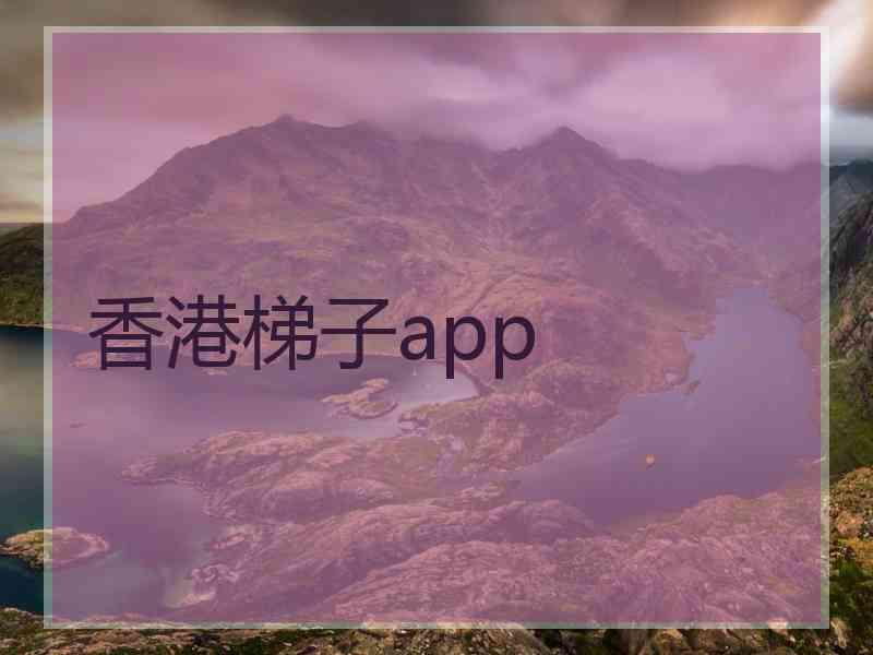 香港梯子app