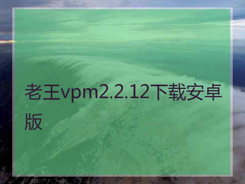 老王vpm2.2.12下载安卓版