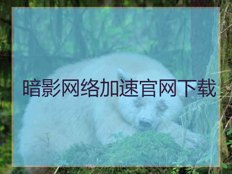 暗影网络加速官网下载