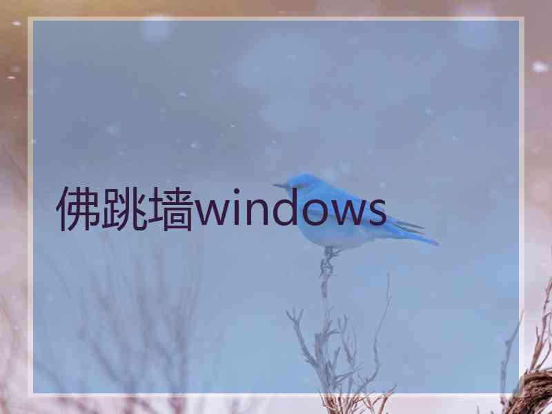 佛跳墙windows