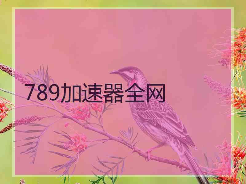 789加速器全网