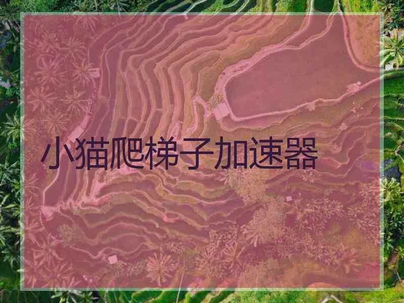 小猫爬梯子加速器