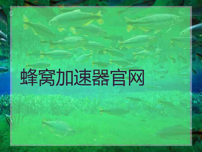 蜂窝加速器官网