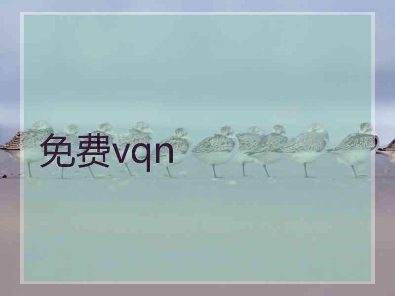 免费vqn