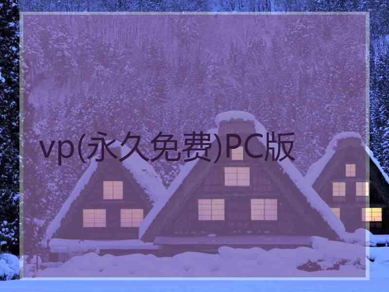 vp(永久免费)PC版