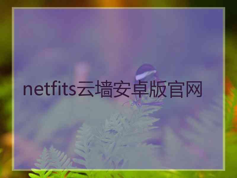 netfits云墙安卓版官网