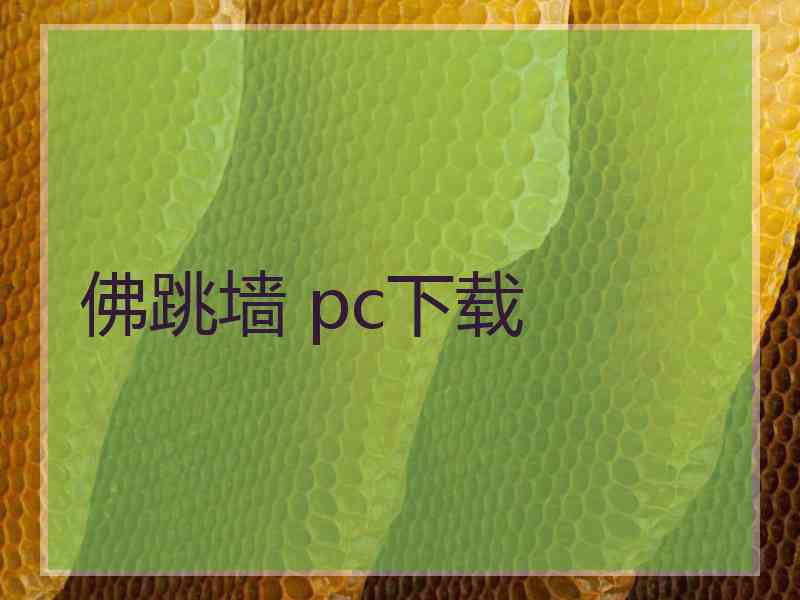 佛跳墙 pc下载