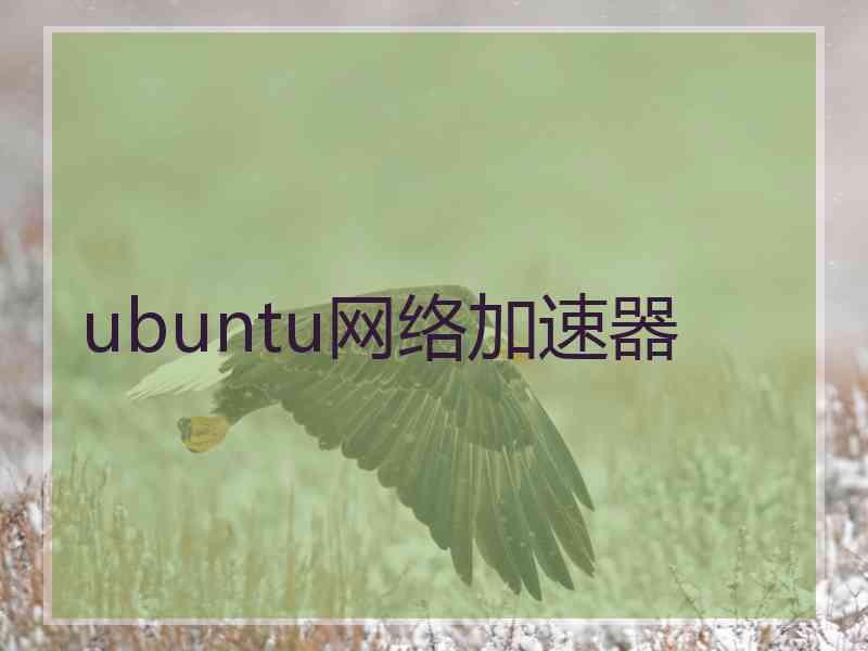 ubuntu网络加速器