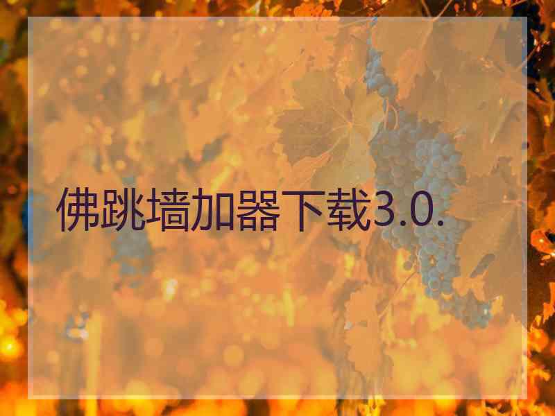 佛跳墙加器下载3.0.