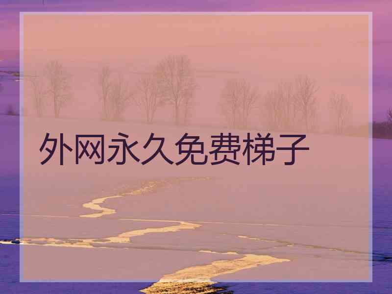 外网永久免费梯子