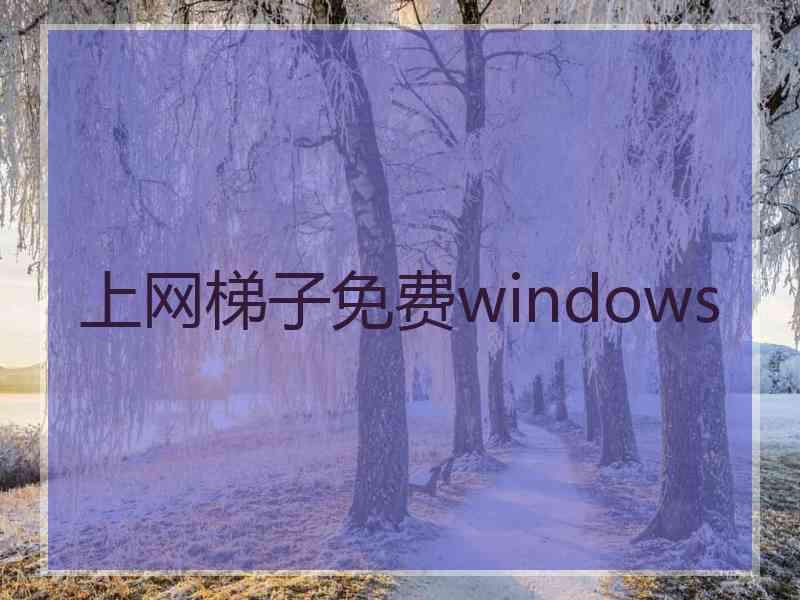 上网梯子免费windows