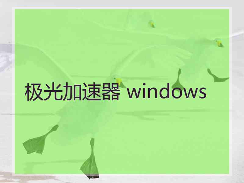 极光加速器 windows