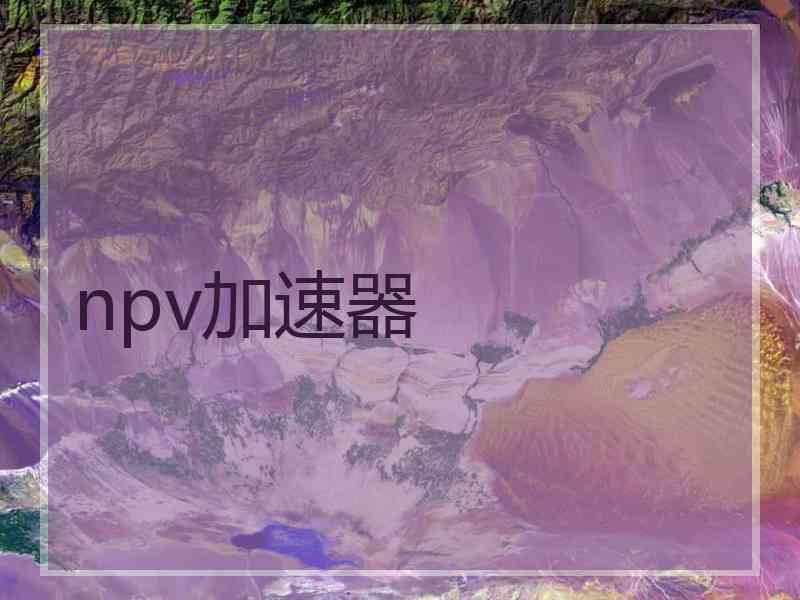 npv加速器