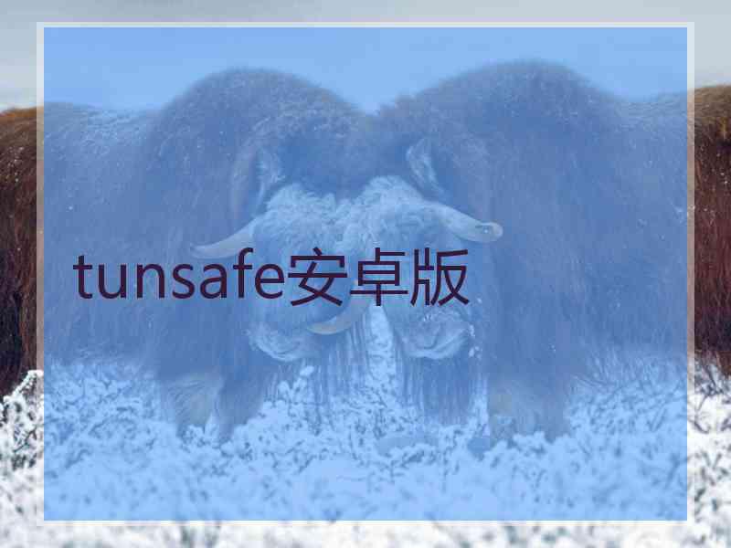 tunsafe安卓版