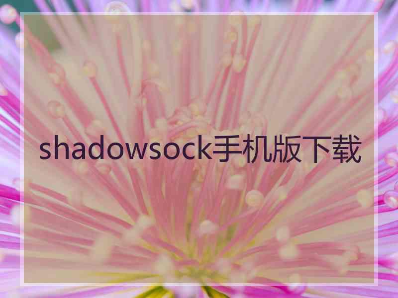 shadowsock手机版下载