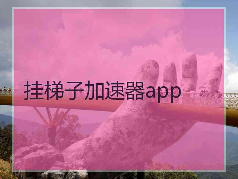 挂梯子加速器app