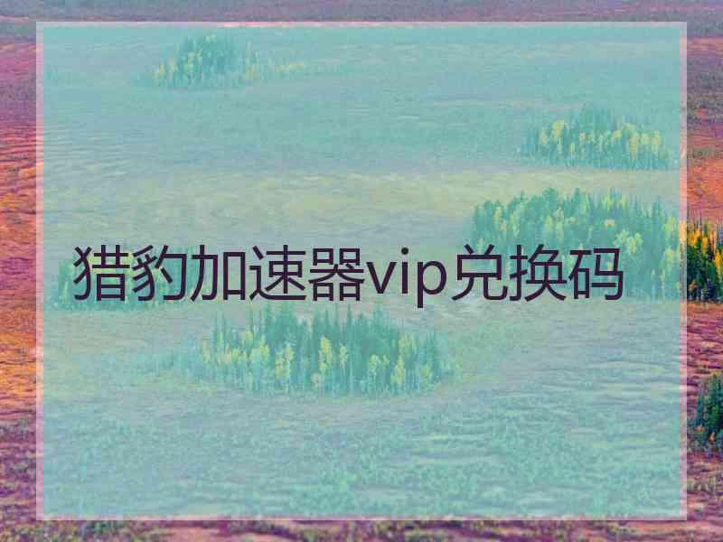 猎豹加速器vip兑换码