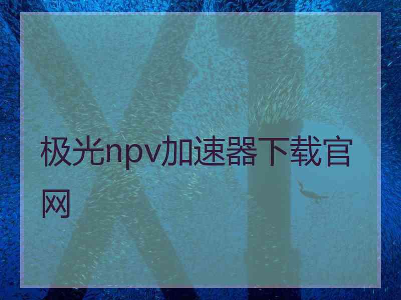 极光npv加速器下载官网