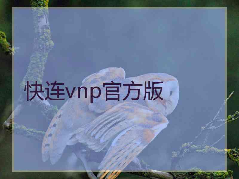 快连vnp官方版