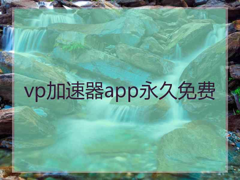 vp加速器app永久免费