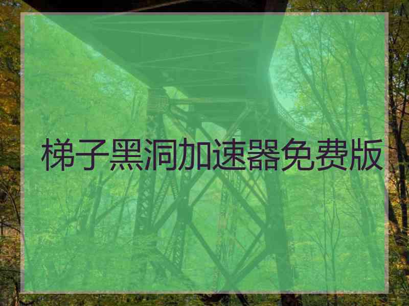 梯子黑洞加速器免费版