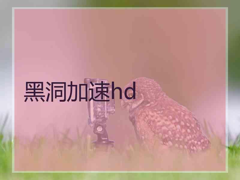 黑洞加速hd