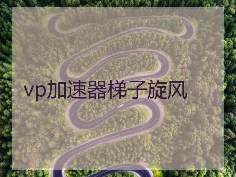 vp加速器梯子旋风