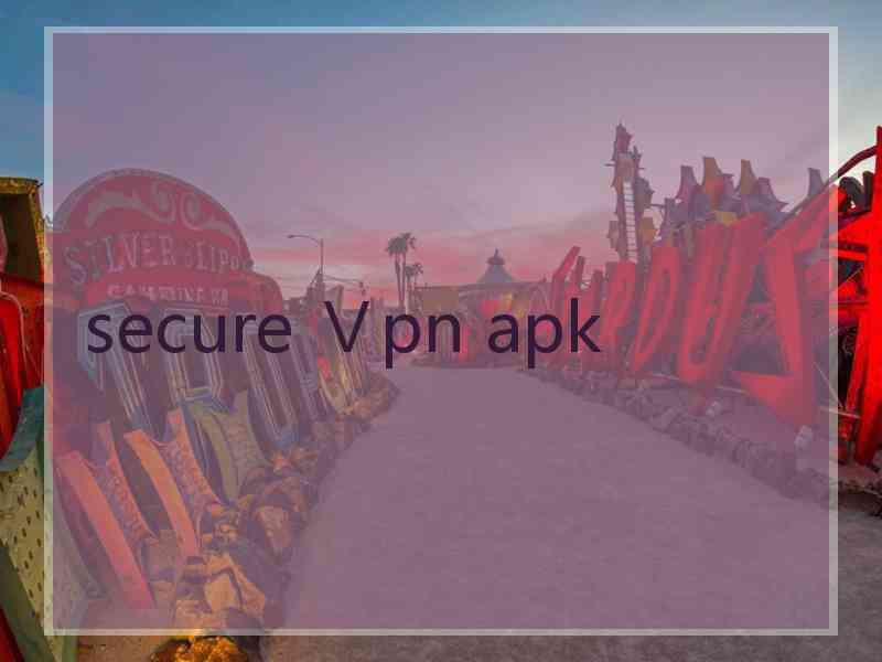 secure Ⅴpn apk