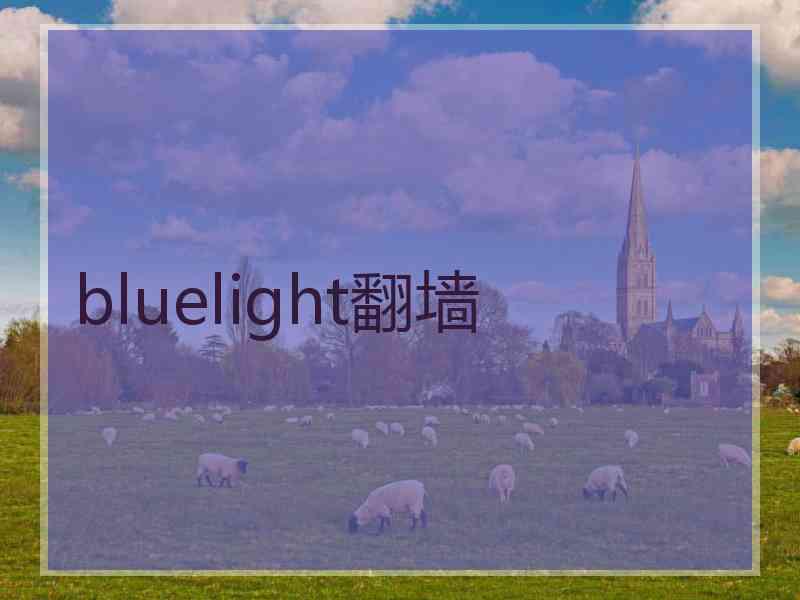 bluelight翻墙