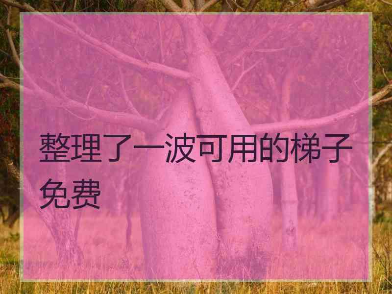 整理了一波可用的梯子免费