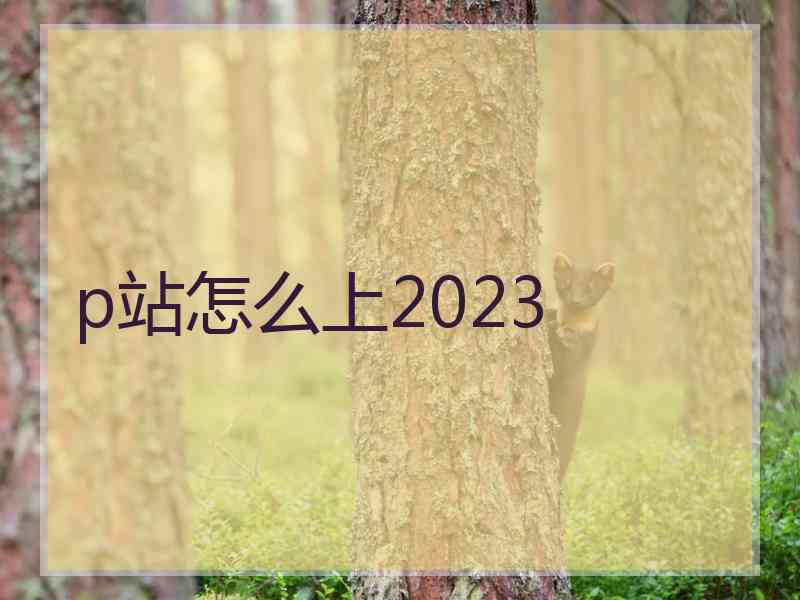 p站怎么上2023