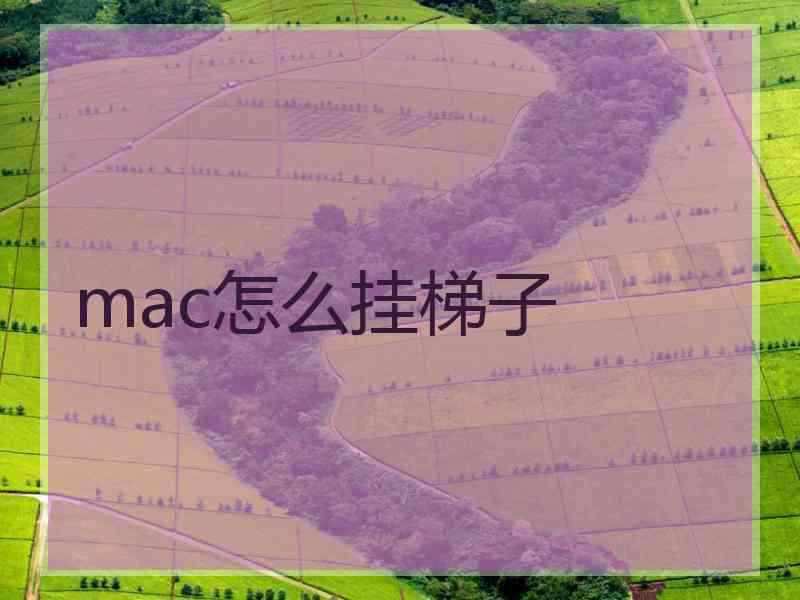 mac怎么挂梯子