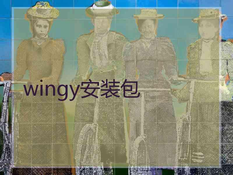 wingy安装包