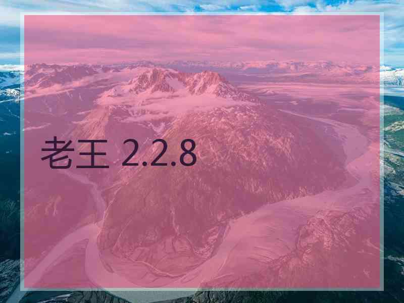 老王 2.2.8