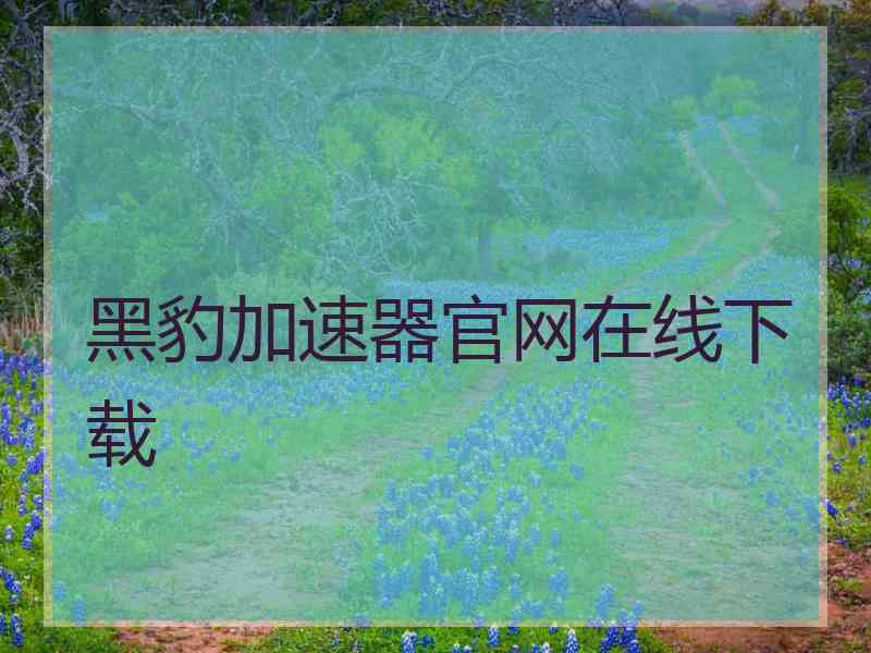 黑豹加速器官网在线下载