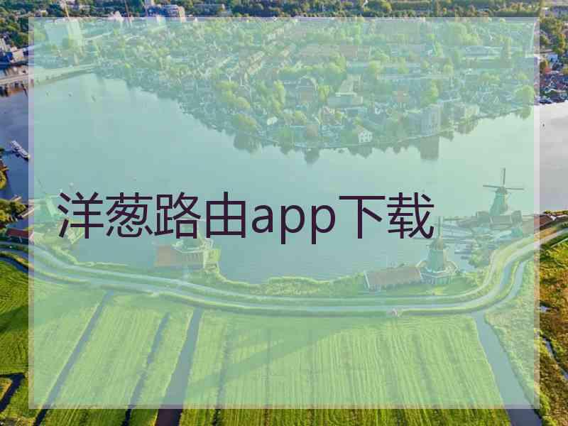 洋葱路由app下载