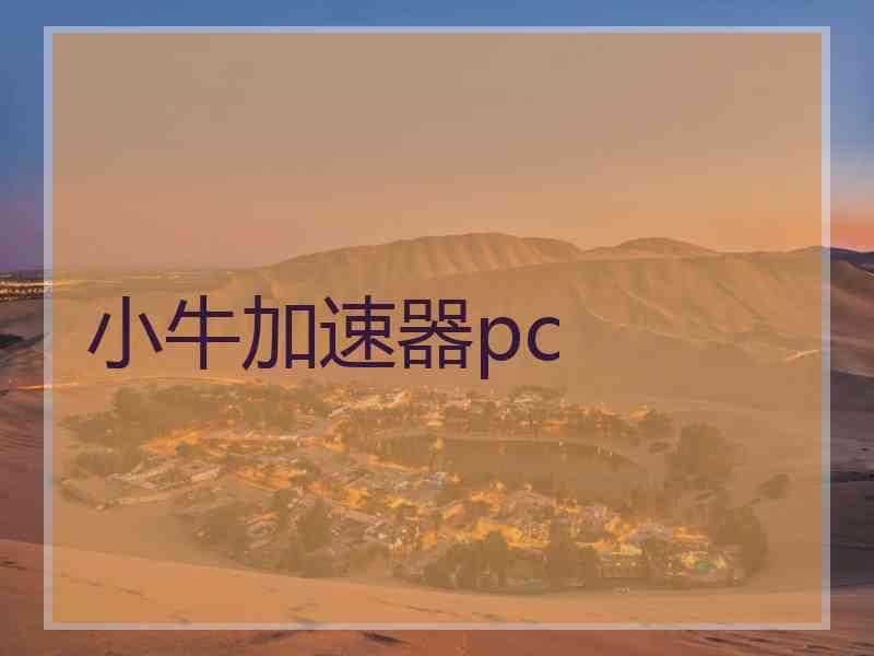 小牛加速器pc