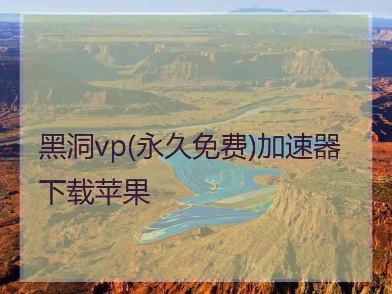 黑洞vp(永久免费)加速器下载苹果