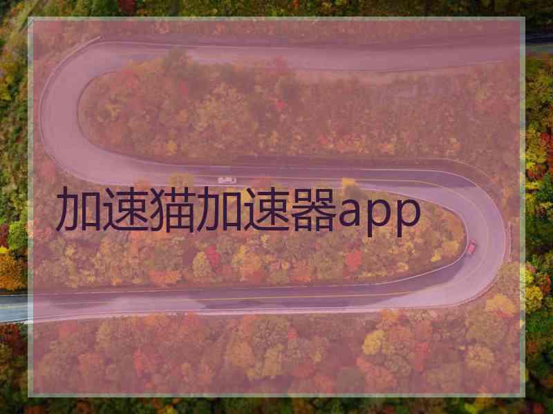 加速猫加速器app