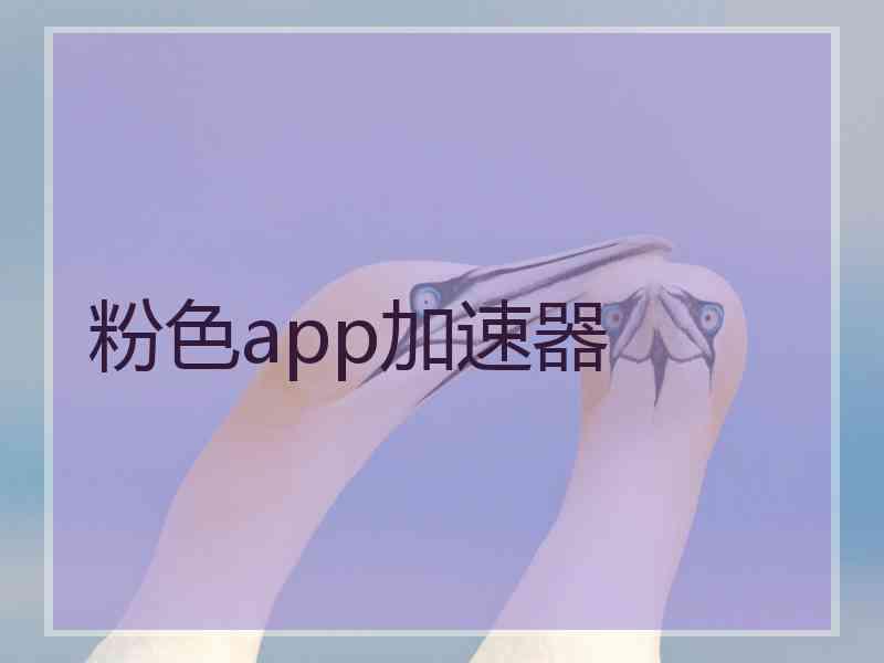 粉色app加速器