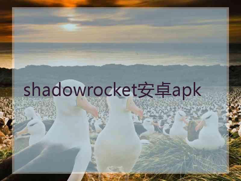 shadowrocket安卓apk