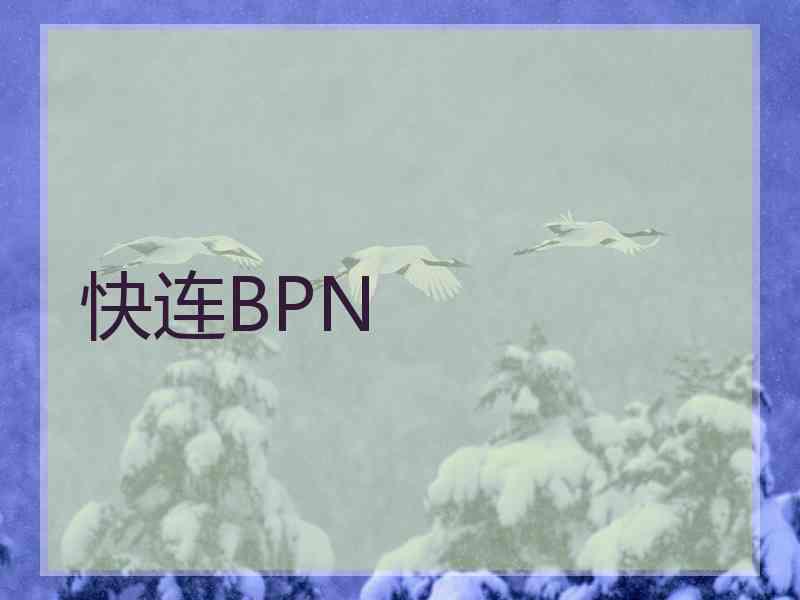 快连BPN