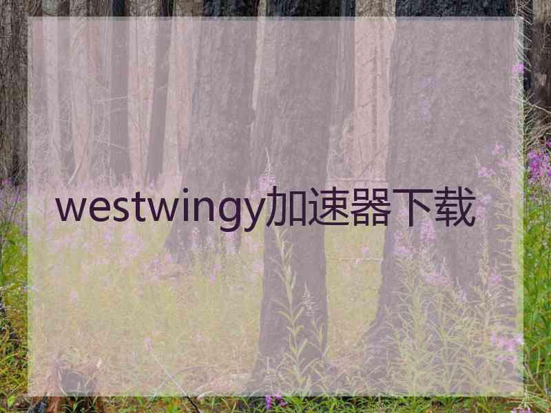 westwingy加速器下载