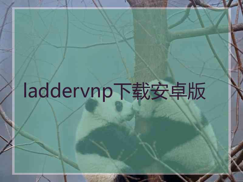 laddervnp下载安卓版